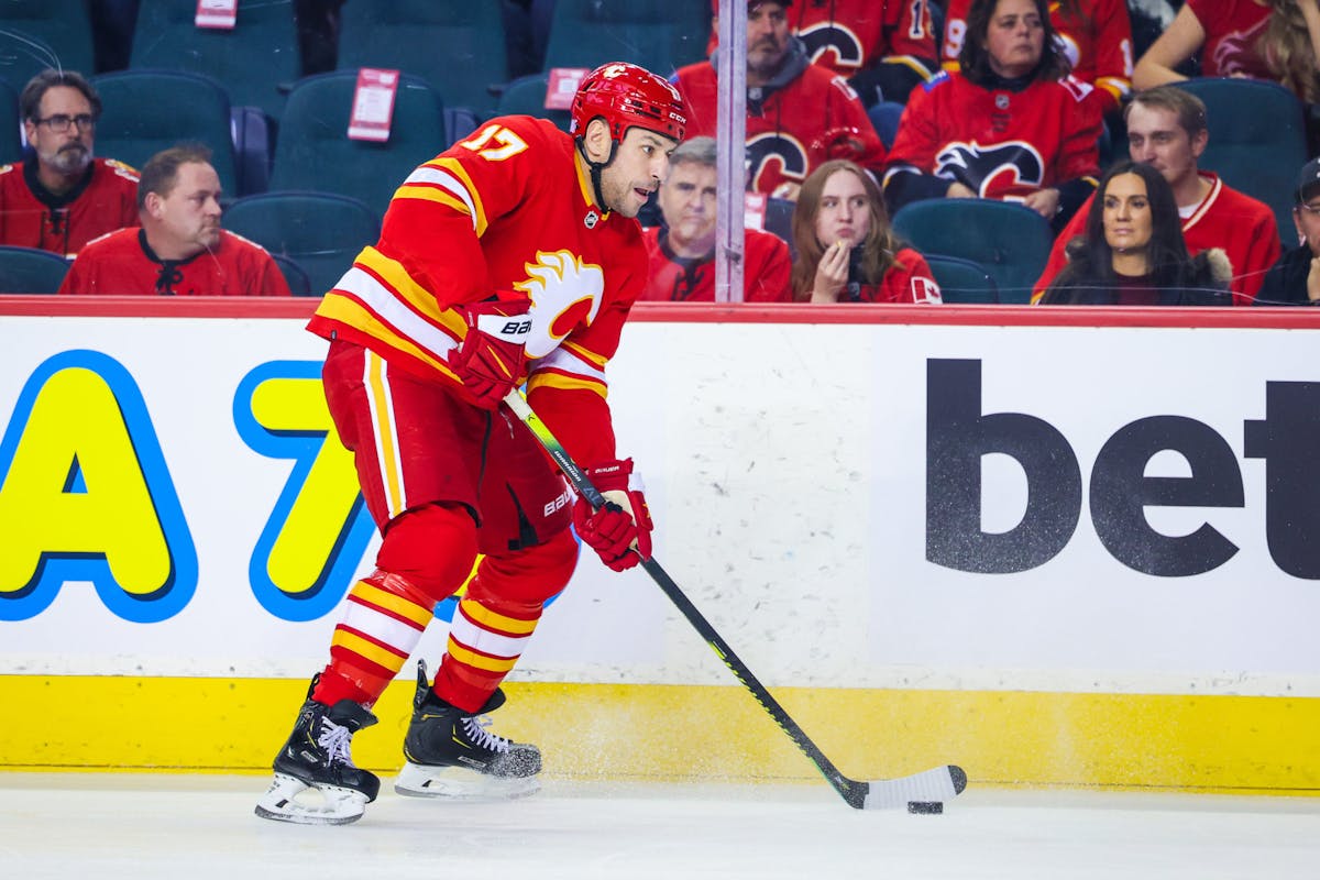 NHL suspends Flames' Milan Lucic two games for roughing Kole