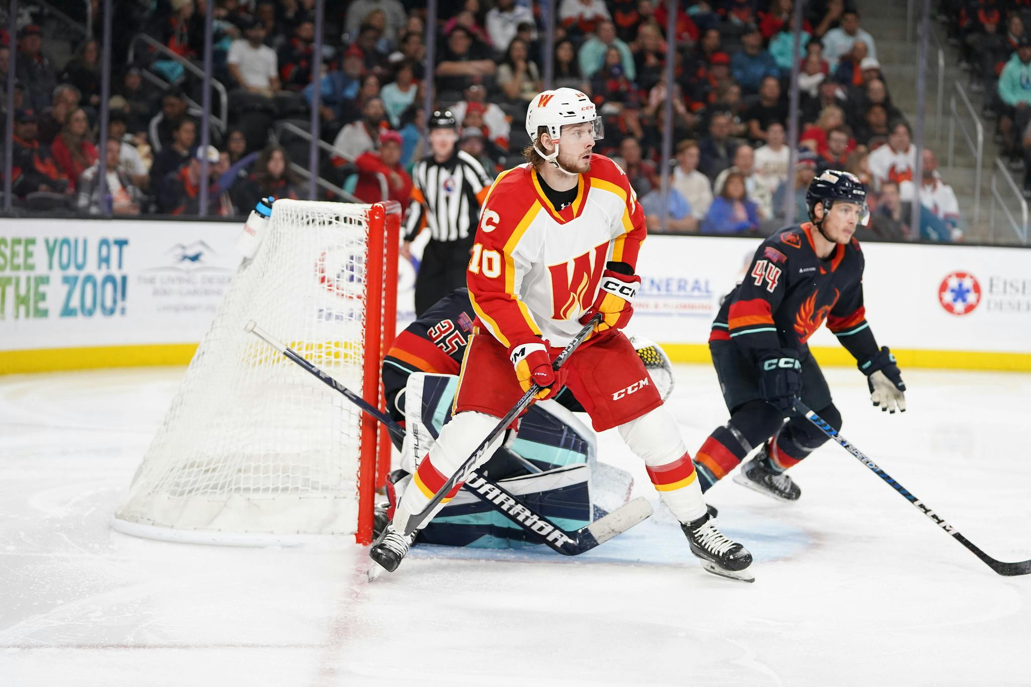 Everything you need to know about the Calgary Wranglers before the AHL  playoffs - FlamesNation