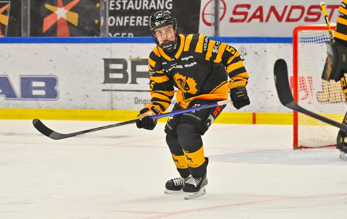 The Calgary Flames select two Swedes in The Athletic’s latest mock draft