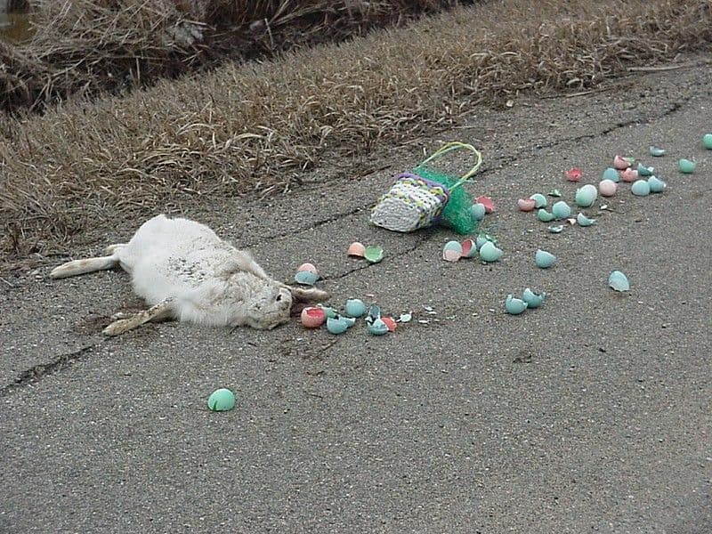 easter-bunny