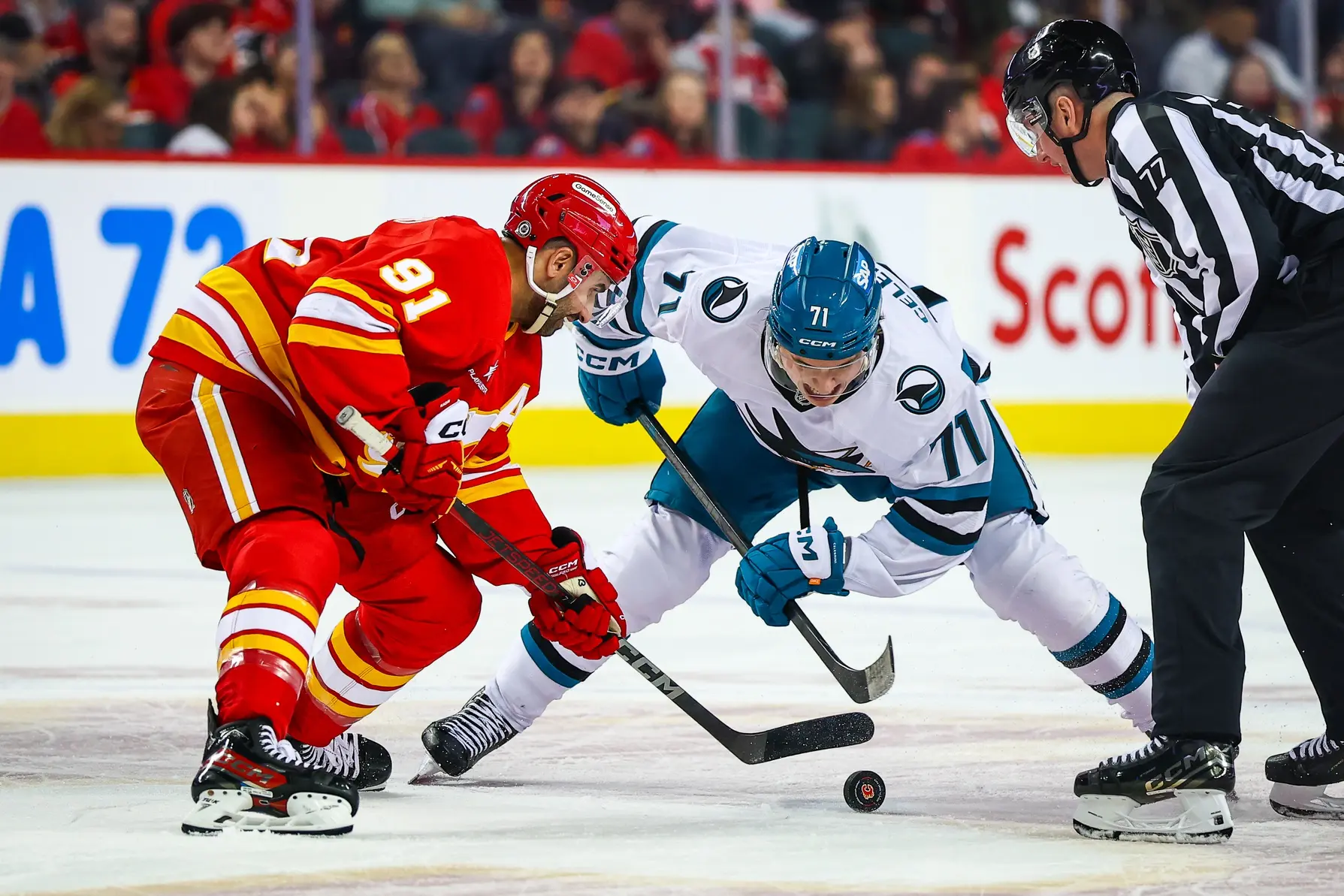 San Jose Sharks center Macklin Celebrini (71) and Calgary Flames center Nazem Kadri (91) face off for the puck during the third period at Scotiabank Saddledome