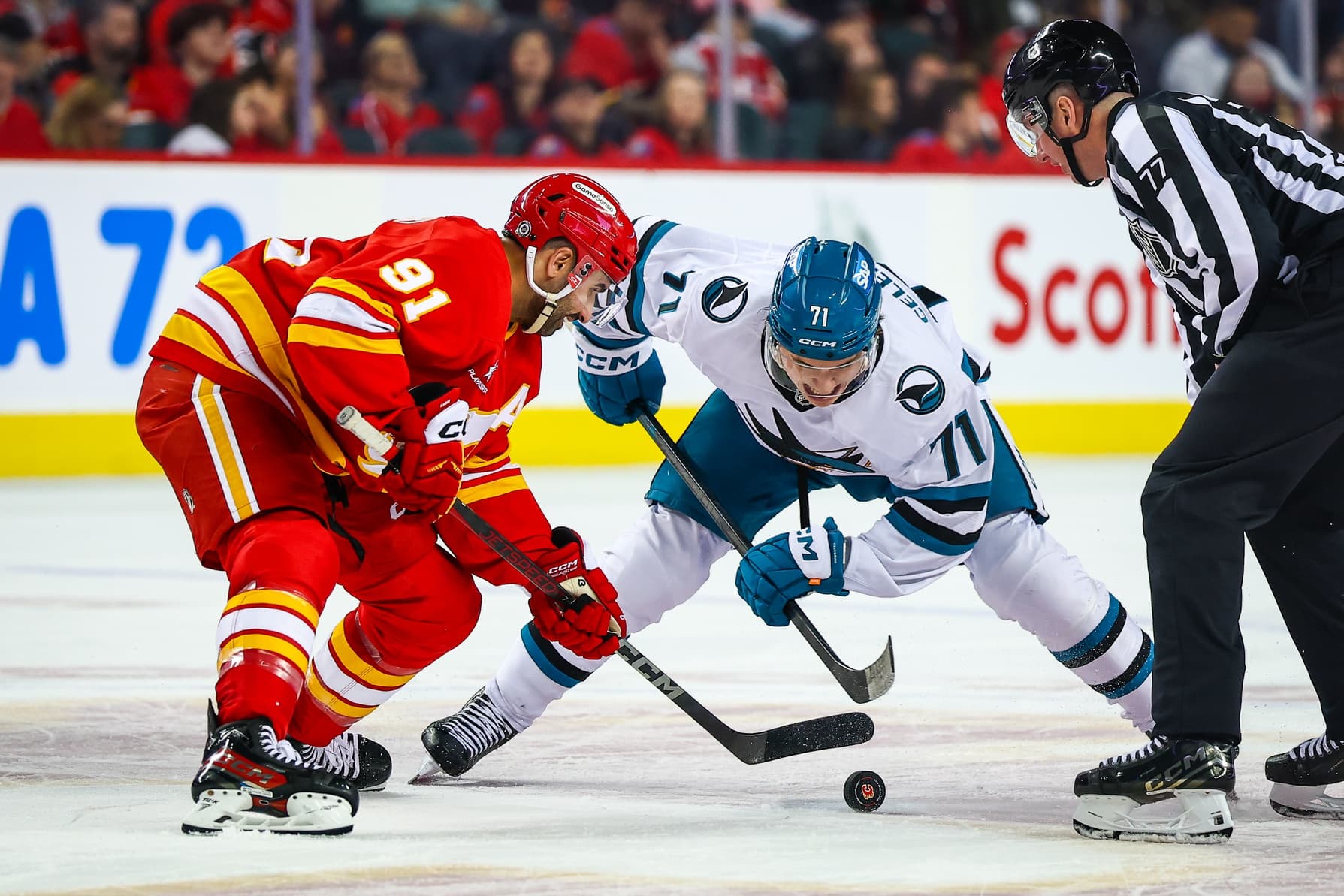 San Jose Sharks center Macklin Celebrini (71) and Calgary Flames center Nazem Kadri (91) face off for the puck during the third period at Scotiabank Saddledome