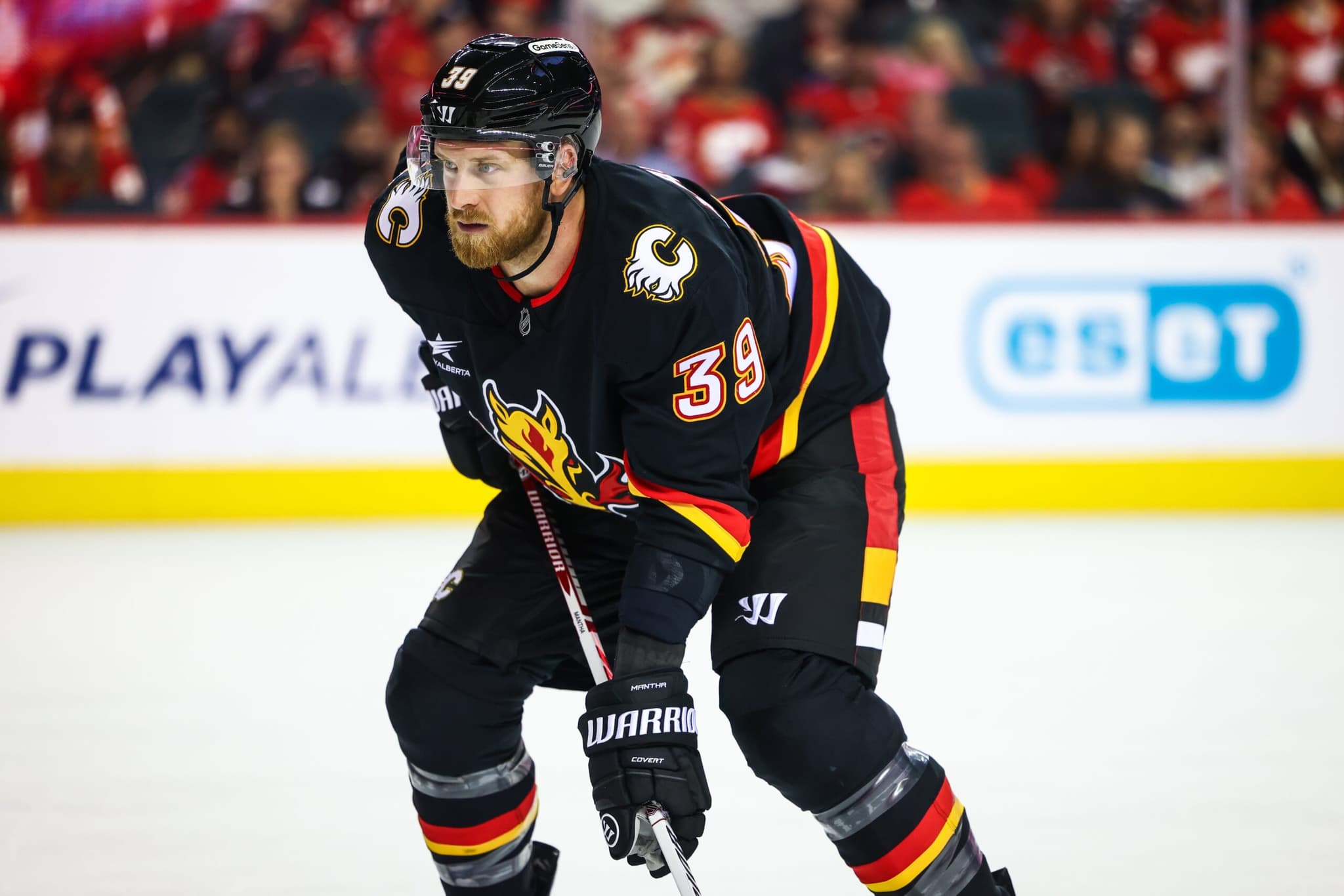 Flames Owner Flames Nation - News, Roster, Scores, Schedule